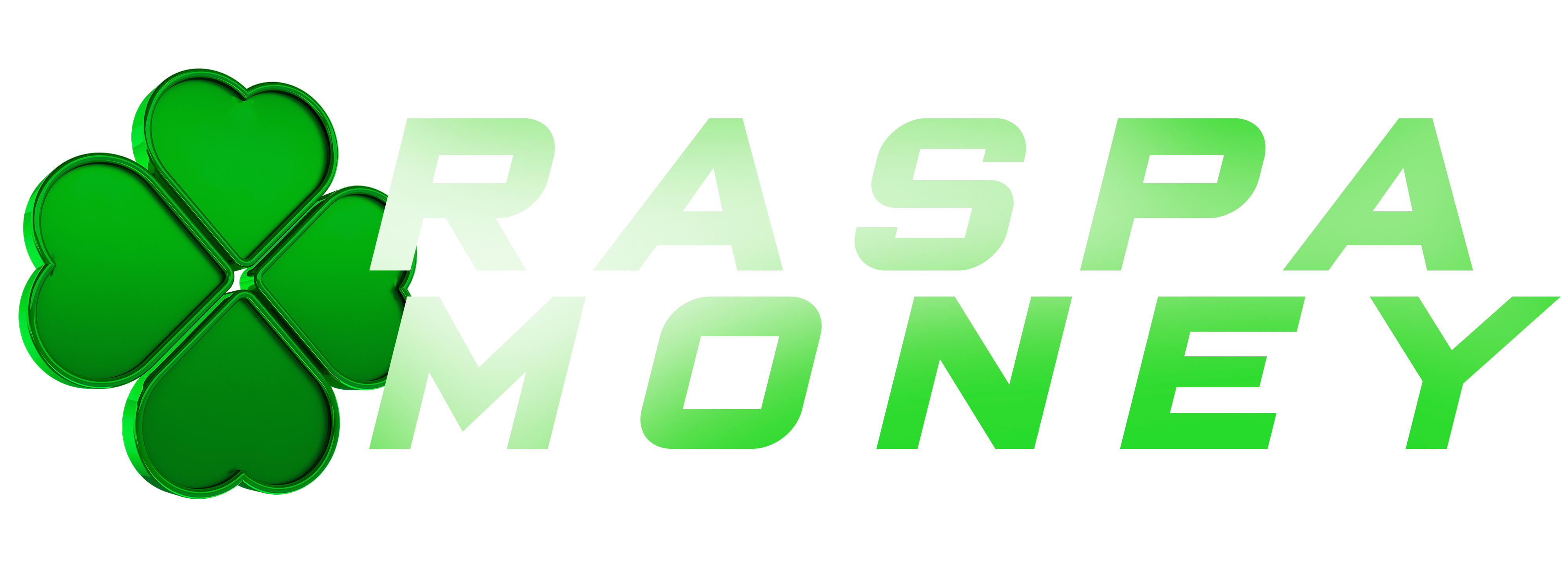 RASPA-MONEY